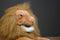 Folkmanis Full Body Lion Puppet Plush