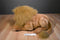 Folkmanis Full Body Lion Puppet Plush