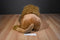Folkmanis Full Body Lion Puppet Plush