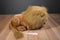 Folkmanis Full Body Lion Puppet Plush