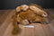 Folkmanis Full Body Lion Puppet Plush
