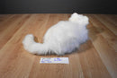Ty Classic Sugar White Persian Cat 2002 Beanbag Plush With Blue Bow