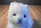 Ty Classic Sugar White Persian Cat 2002 Beanbag Plush With Blue Bow