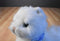 Ty Classic Sugar White Persian Cat 2002 Beanbag Plush With Blue Bow