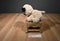 Aurora Precious Moments Bella the Pug Puppy Dog 2018 Plush