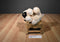 Aurora Precious Moments Bella the Pug Puppy Dog 2018 Plush