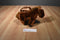 Aurora Brown and White Horse Bag Plush