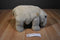 Dakin Grey Hippo Beanbag Plush