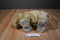 Dakin Grey Hippo Beanbag Plush