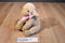 Animal Adventure Brown Lamb 2015 Plush