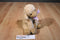 Animal Adventure Brown Lamb 2015 Plush