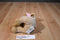 Animal Adventure Brown Lamb 2015 Plush