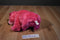 Aurora Girlz Nation Pink Bear Beanbag Plush With Pink Bow
