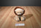 Baby Ty Bouncer the Tan and Brown Lion 2017 Beanbag Plush