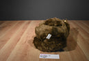 Animal Adventure Brown and Tan Teddy Bear 2000 Plush