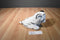 Ty Classic Tundra the White Tiger 2017 Beanbag Plush