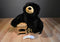Wishpets Molly the Black Bear 2000 Plush