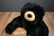 Wishpets Molly the Black Bear 2000 Plush