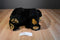 Wishpets Molly the Black Bear 2000 Plush