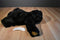 Wishpets Molly the Black Bear 2000 Plush
