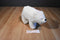 K & M Polar Bear 1999 Plush