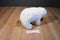 K & M Polar Bear 1999 Plush