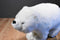 K & M Polar Bear 1999 Plush