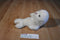 Ty Classic Misty the White Seal 1997 Beanbag Plush