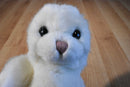Ty Classic Misty the White Seal 1997 Beanbag Plush