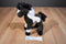 Douglas Durango Indian Paint Horse Beanbag Plush
