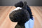 Douglas Durango Indian Paint Horse Beanbag Plush