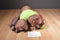 Activision 2012 Skylanders Talking Rex Power Tree Plush