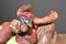 Activision 2012 Skylanders Talking Rex Power Tree Plush