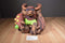Activision 2012 Skylanders Talking Rex Power Tree Plush
