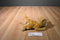 Target Orange and White Tabby Cat Plush