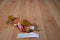 Ty Beanie Babies Alvin Chipmunks Brittany Chipette 2011 Beanbag Plush