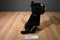 Toy Netwokk Sitting Rottweiler with Spiked Collar
