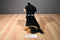 Toy Netwokk Sitting Rottweiler with Spiked Collar