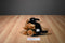 Toy Netwokk Sitting Rottweiler with Spiked Collar