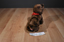 Douglas C. C. Bean Chocolate Lab Beanbag Plush