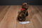 Douglas C. C. Bean Chocolate Lab Beanbag Plush