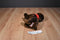 Douglas C. C. Bean Chocolate Lab Beanbag Plush
