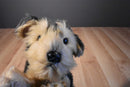 Aurora Flopsie Yorky the Gray and Tan Yorkshire Terrier Beanbag Plush