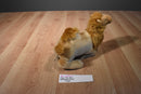 Tiger Tale Toy Laying Down Dromedary Camel Plush