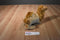 Tiger Tale Toy Laying Down Dromedary Camel Plush