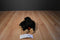 Tri Russ Target Chimp with Red Heart and Small Monkey Beanbag Plush