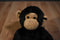 Tri Russ Target Chimp with Red Heart and Small Monkey Beanbag Plush