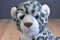 Aurora Baby Snow Leopard Cub Beanbag Plush With Blue Eyes