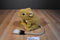 Wild Republic Kangaroo Rat 2008 Beanbag Plush