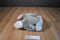 Disneyland Mouseketoys Thumper Plush